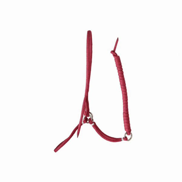 258 CÓD 1607 CABRESTO NYLON C ARGOLA