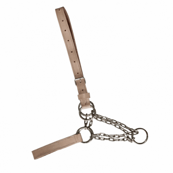 276 CÓD 1612 CABRESTO SOLA C CORRENTE 05 ARG. VACA