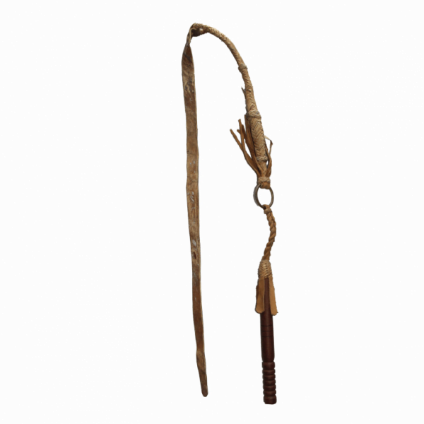 313 CÓD 1702 = CHICOTE JIBOIA