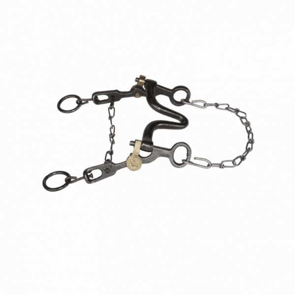 421 CÓD 1905 FRIO TOSTÃO POLIDO